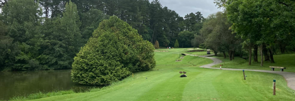 CLUB DE CAMPO DE LAUKARIZ